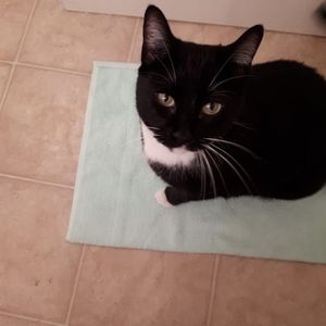 Meet your Posher, Ray